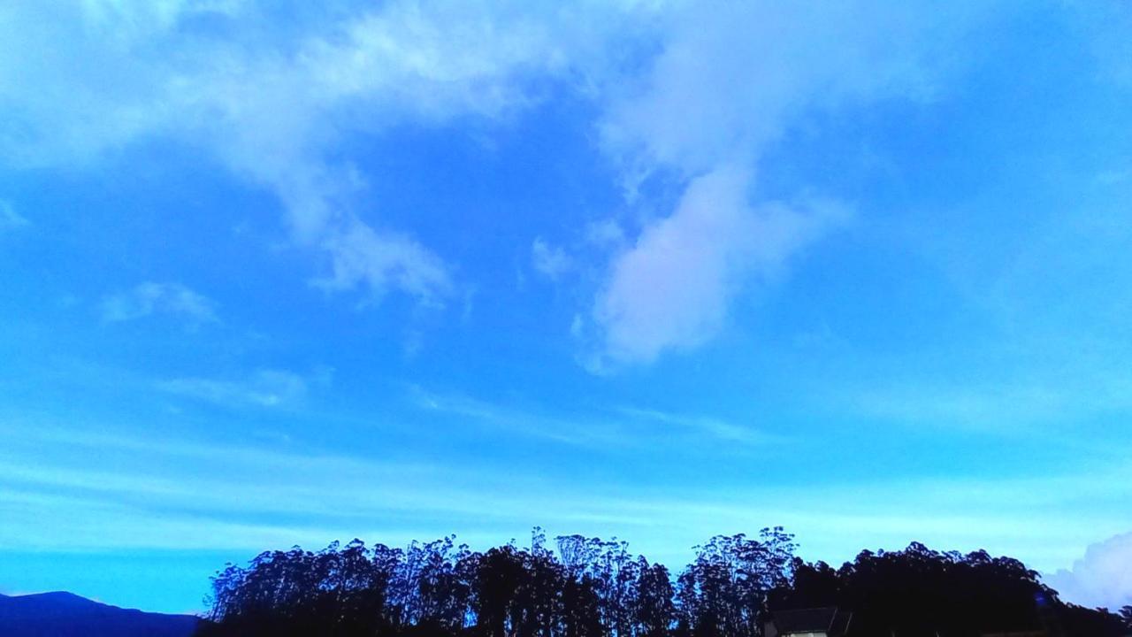 Moonplain Bungalows Nuwara Eliya Kültér fotó